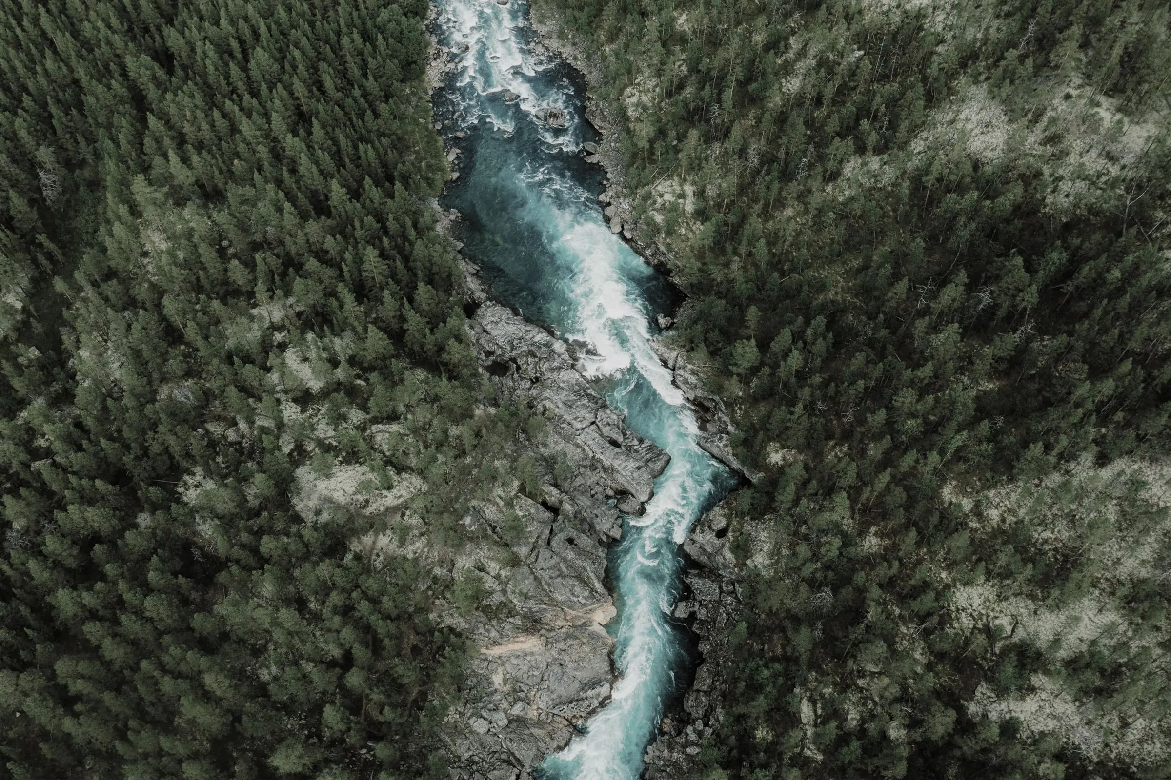 Luftaufnahme eines türkisen Flusses, der sich durch dichten Nadelwald schneidet.